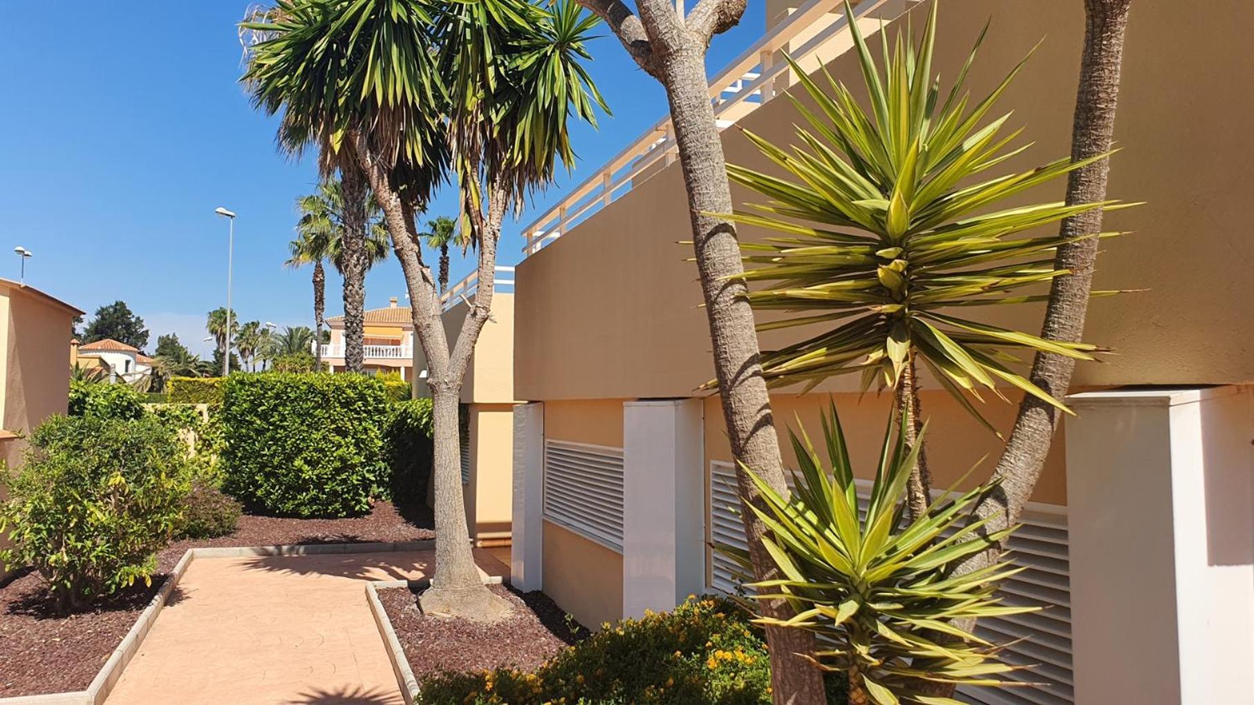 Apartamentos Par Tres - Oliva Nova Exteriér fotografie